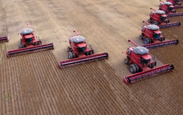 Trung Quốc 'quay lưng' dừng nhập khẩu một mặt hàng quan trọng, đối thủ của Mỹ lập tức bội thu đơn hàng: Nhập khẩu tăng 73% chỉ trong một tháng, sắp đón vụ mùa bội thu