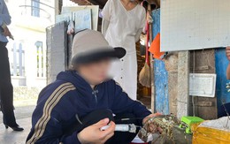 Một cơ sở ở Phú Yên thua mua tôm hùm chết, bơm tạp chất giữ tươi rồi đem bán