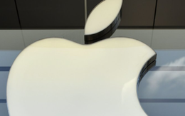 Vừa triệt phá đường dây buôn sạc Apple 'nhái' quy mô hàng trăm tỷ đồng: Thu giữ hơn 373.000 bộ sạc đang chuẩn bị tuồn ra thị trường, xuất xứ chủ yếu từ Trung Quốc