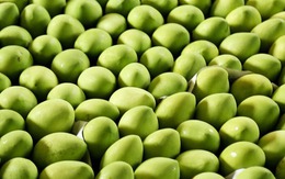 Loại quả của Việt Nam khiến người Trung Quốc siêu mê: diện tích trồng hơn 110.000 ha, đến cựu Đại sứ Hoa Kỳ cũng phải xuýt xoa khen 'ngon nhất thế giới'