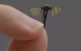 Mổ xẻ 'drone muỗi' Trung Quốc chuyên dùng cho do thám quân sự