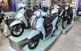 Chỉ thị Thủ tướng vừa ký: Khu vực này của Hà Nội cấm hoàn toàn xe máy xăng, áp dụng năm sau