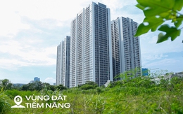 Toàn cảnh khu đất vàng rộng 6 ha vừa được thu hồi để xây nhà thấp tầng, đối diện dự án có biệt thự 1 tỷ đồng/m2 của Vinhomes