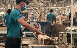 Sự thật vụ một doanh nghiệp gỗ đặt mục tiêu doanh thu gần 1 triệu tỉ đồng