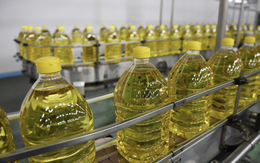 Nhận phản ánh của người dân rồi đột kích một xưởng sản xuất, công an triệt phá đường dây buôn dầu ăn giả thương hiệu nổi tiếng quy mô lớn ở Trung Quốc, tịch thu 400 thùng hàng nhái