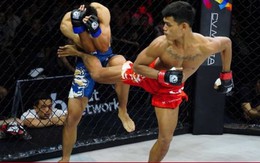 Chỉ đánh 1 đòn, võ sĩ Việt Nam khiến đối thủ nhập viện