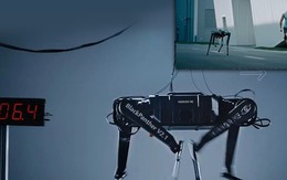 Chó robot của Trung Quốc chạy 100m chỉ mất 13 giây, vượt xa Boston Dynamics và thách thức kỷ lục thế giới!