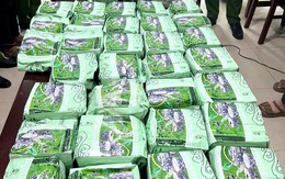 Bắt giữ 3 kẻ trong đường dây ma túy xuyên quốc gia, thu 60 bánh heroin