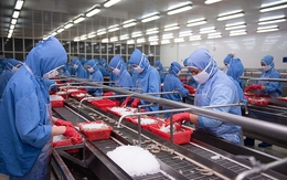 Mỹ áp thuế cao, mặt hàng tỷ đô của Việt Nam gặp thách thức: Bí quyết vàng giữ vị thế trên bàn ăn thế giới