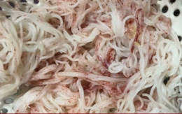 Vì sao bún chuyển sang màu đỏ bất thường sau vài giờ mua ở chợ Đà Nẵng?