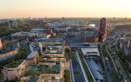 Chơi trò "xếp gỗ" tầm cỡ quốc gia: Chi tới 1,25 tỷ USD để xây dựng thành phố bằng gỗ