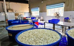 Phát hiện kho hàng chứa 6,9 tấn chân gà bẩn, ngâm hoá chất ở Thanh Hoá