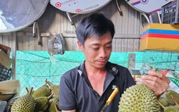 ‘Vua' của các loại sầu riêng bị chê, rớt giá thảm