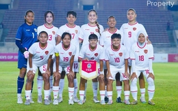 Indonesia sa thải HLV, làm điều hiếm có trước đại chiến tuyển Việt Nam ở “bảng tử thần”