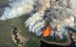 Khoảng 10 triệu người Mỹ bất ngờ nhận khuyến cáo ở nhà và đóng kín cửa