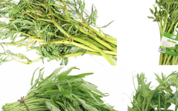 Chuyên gia chỉ ra những loại rau dễ nhiễm kim loại nặng