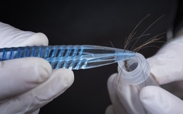 Cặp vợ chồng U70 dẫn 1 bé trai đi xét nghiệm ADN: Kết quả giúp bóc trần sự thật về người phụ nữ câm điếc