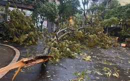 Mưa to, gió lớn ở Hà Nội và nhiều địa phương phía Bắc có phải do ảnh hưởng bão số 3?