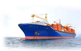 Vận tải biển Sài Gòn (SGS) bị phạt 92,5 triệu đồng vì “quên” công bố thông tin