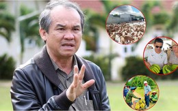 Bầu Đức “nói không” với bất động sản ngàn tỷ, chọn nuôi heo và 2 loại cây này để trả sạch nợ