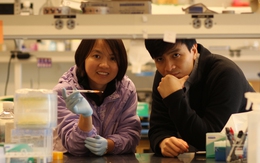 PGS Việt được Bill Gates đầu tư 6,6 triệu USD, báo Mỹ gọi là "ngôi sao": Tạo ra loại gel "phù thủy" tái tạo khớp gối, bệnh nhân không cần mổ