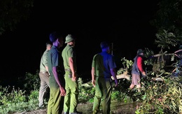 Người đàn ông tử vong do bị cành cây gãy rơi trúng người