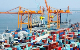 Mỹ vừa chốt đơn gần 2 tỷ USD một 'mỏ vàng' của Việt Nam: Thuế nhập khẩu 25%, nước ta là ông lớn thứ 3 thế giới