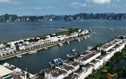 ỨNG PHÓ BÃO SỐ 3 (WIPHA): Quảng Ninh tạm dừng cấp phép rời cảng đối với tàu du lịch, tàu khách