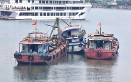 Tàu Vịnh Xanh 58 gặp nạn ở Hạ Long có đủ điều kiện hoạt động?