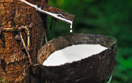 Việt Nam đang là chủ lực tại "thủ phủ" mặt hàng kiếm hàng trăm triệu đô la của Campuchia