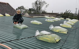 Hà Nội nằm trong vùng trọng tâm mưa lớn do bão Wipha: 11 điều cần làm ngay