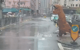 CLIP: Khủng long, gấu trúc đi bộ, ngồi vật vã trên đường khi bão Wipha ập vào Trung Quốc