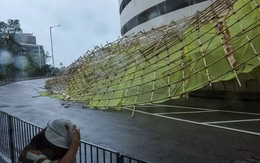 Hàng trăm cây đổ, hàng chục người nhập viện do bão Wipha ở Trung Quốc