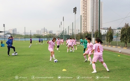 Bốc thăm giải Đông Nam Á: Việt Nam vào bảng đấu thuận lợi, tránh Thái Lan, Indonesia và Australia