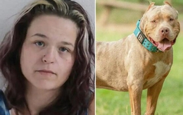 Người mẹ tàn độc trói tay con trai 6 tuổi để mặc chó pitbull cắn xé lĩnh án tù