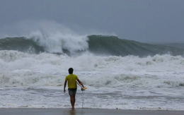 Huấn luyện viên bị chỉ trích dữ dội vì lướt sóng giữa bão Wipha