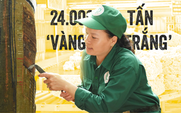 Bí mật của 24.000 tấn ‘vàng trắng’ Việt Nam chinh phục thị trường khắt khe nhất thế giới