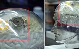 “Tôi muốn ăn”: Dòng chữ hé lộ "chiến trường chính" của Trung Quốc trong cuộc cạnh tranh toàn cầu