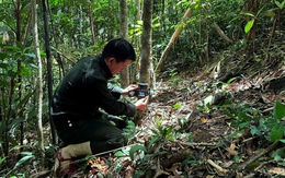 Việt Nam lần đầu phát hiện loài vật quý hiếm bậc nhất hành tinh: Tại tỉnh phía Bắc cách đây gần 100 năm, hiện cực kỳ nguy cấp