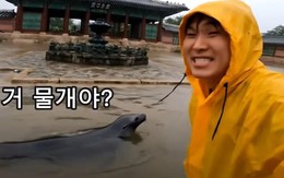 Video AI giả cảnh lũ lụt tại cung điện gây lo ngại về deepfake ở Hàn Quốc