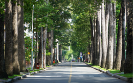 “Báu vật” hơn trăm tuổi giữa lòng siêu đô thị 114 tỷ USD: Dấu ấn xanh hiếm có ở châu Á