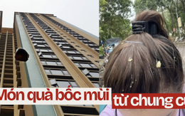 Pha đi chợ nhớ đời ở chung cư: Chưa kịp mua gì đã được "tặng" nguyên bịch thức ăn thừa trên trời rơi xuống