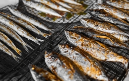 Nghiên cứu trên 25.000 người: Phát hiện loại cá dưỡng thận, ngừa suy thận hiệu quả