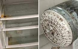 Sự thật mất lòng: 5 món đồ quen thuộc tưởng sạch nhưng KHÔNG, bẩn nhất là số 4 ai cũng dùng
