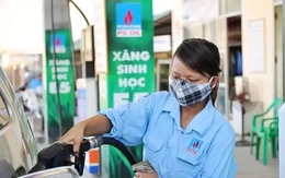 Bán xăng sinh học E10: Đừng như 'đổ rượu mạnh vào chum nước mưa'