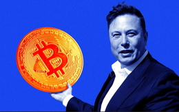 Sai lầm đau đớn Elon Musk muốn chôn vùi mãi mãi: Để Tesla bán 'non' Bitcoin từ 3 năm trước, mất trắng 3,5 tỷ USD