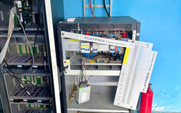 Bắt tạm giam Đinh Hòa Hợp