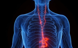 Xác định giác quan thứ 6 của con người: Khác xa tưởng tượng