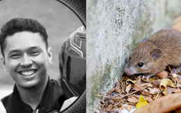 Chàng trai 23 tuổi tử vong sau 4 ngày nhiễm "bệnh nước tiểu chuột"