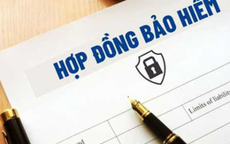 Nhiều người mua bảo hiểm nhân thọ 'ngã ngửa' khi đóng cả trăm triệu nhưng chỉ nhận lại vài chục triệu: Sự thật về loạt khoản phí 'ăn mòn' giá trị hợp đồng